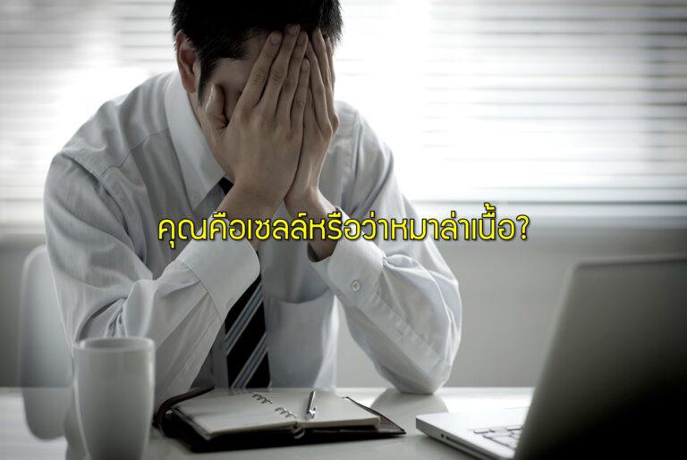 คุณคือเซลล์หรือว่าหมาล่าเนื้อ?