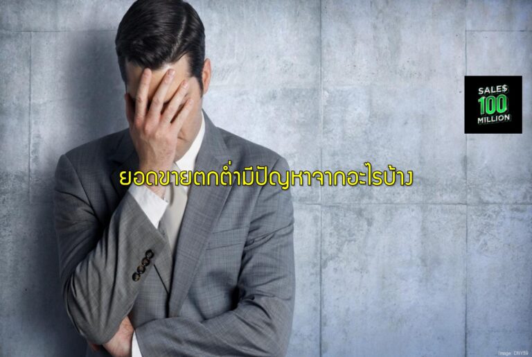 ยอดขายตกต่ำมีปัญหาจากอะไรบ้าง