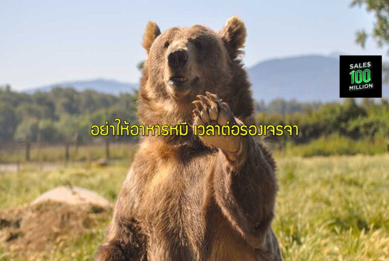 อย่าให้อาหารหมี เวลาต่อรองเจรจา