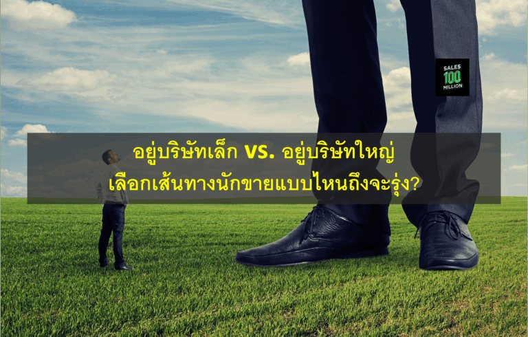 อยู่บริษัทเล็ก vs. อยู่บริษัทใหญ่ เลือกเส้นทางนักขายแบบไหนถึงจะรุ่ง?